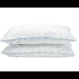 Northern Nights 2-Pack Beautifully Cool Pillows Std/Queen
